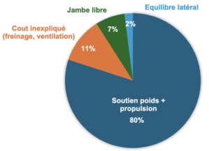 Répartition du coût énergétique de la course